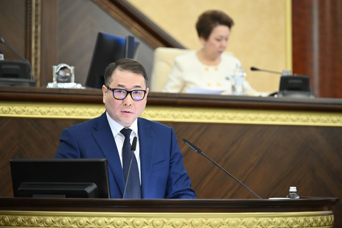 Электронды сауда бес жылда 3,8 трлн теңгеге жетті: Қазақстан ДСҰ қағидаларын енгізбек