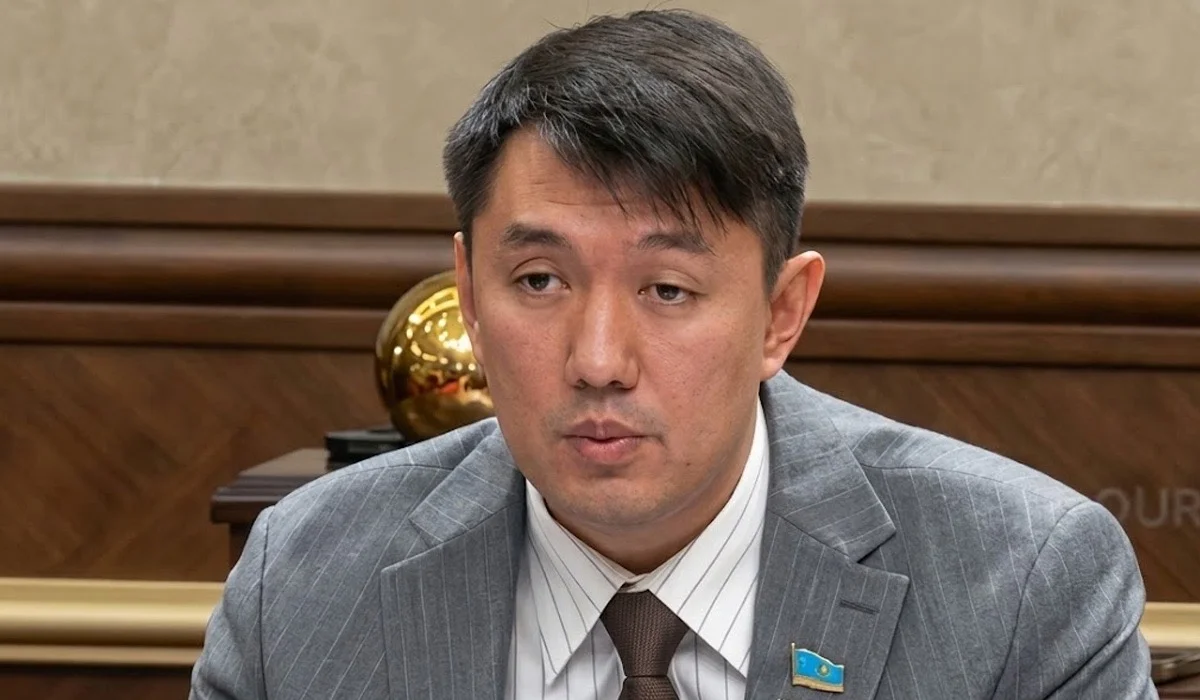 «Мүгедектік баланың болашағына кедергі болмауы керек»:  «Әділет» фракциясының депутаты Үкіметке талап қойды