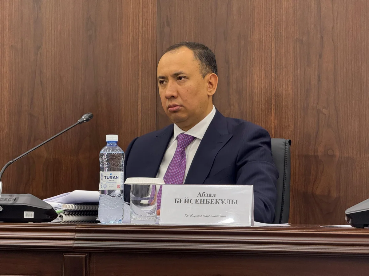 Қаржы министрлігі: Қазақстан Халық Кеңесін құру үшін бюджеттен 1,7 млрд теңге бөлінеді