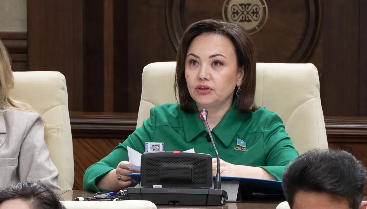 «Әділет» партиясы әр елді мекенге цифрлық паспорт енгізуді ұсынды