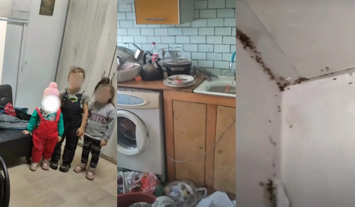 «Ішерге су, жеуге тамақ жоқ отырған»: ШҚО-да полиция тарақандардың арасында өмір сүрген төрт баланы ата-анасынан алып кетті (ВИДЕО)