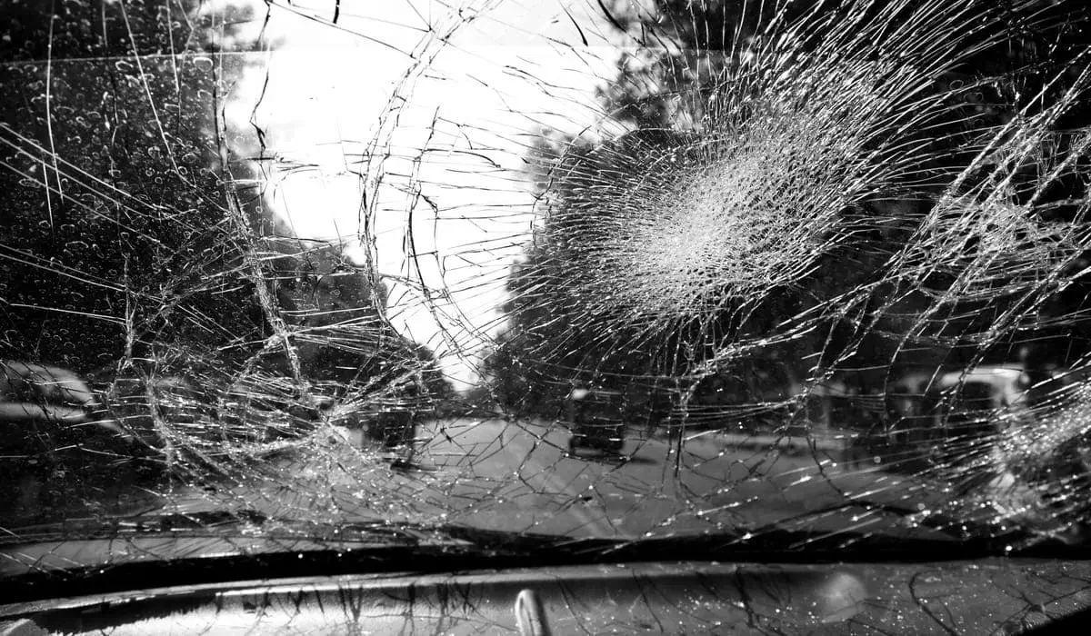 Тұманда жантүршігерлік жол апаты: әйел көлігімен бір үйір жылқыға соғылды