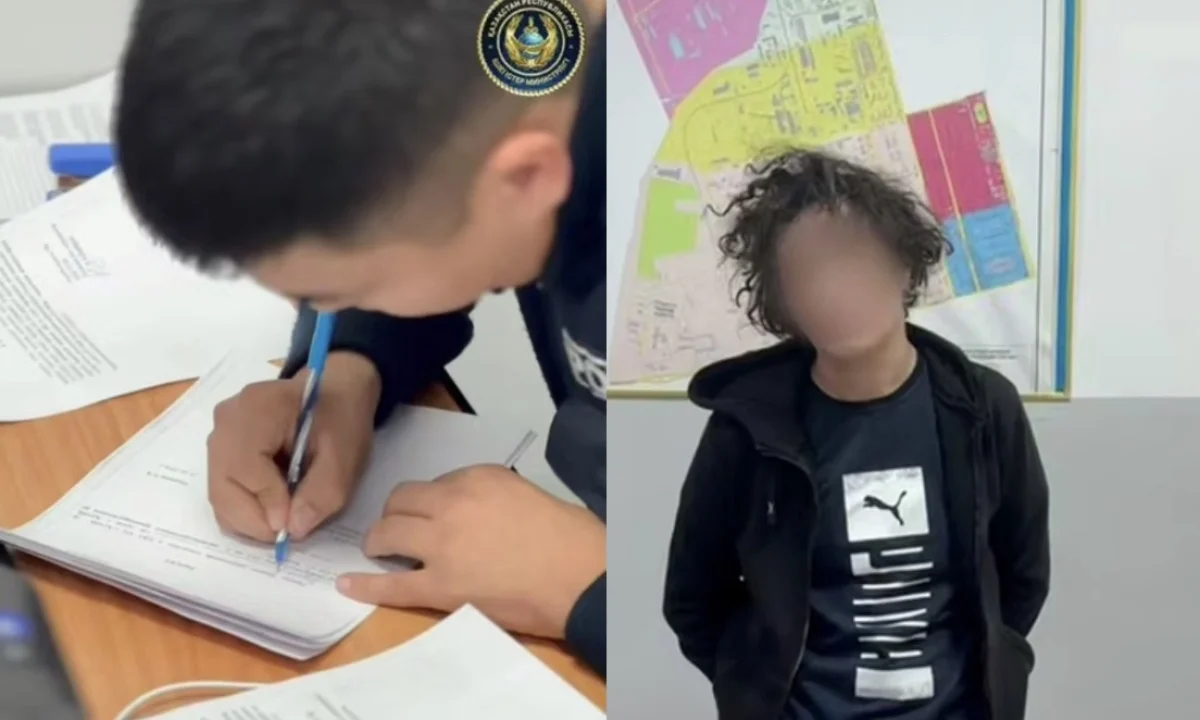 TikTok-та балағат сөздер айтқан тұрғын 5 тәулікке қамауға алынды (ВИДЕО)