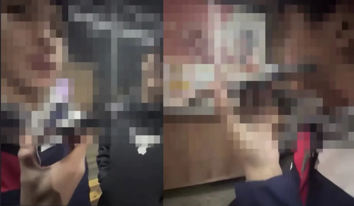 Ақтөбеде жоғалған мысықтың иесін мазақ қылған жасөспірімдер анықталды