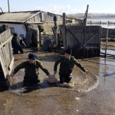 8 үй су астында қалды: ШҚО-да Үбі өзені тасып, Речное ауылының тұрғындары эвакуацияланды
