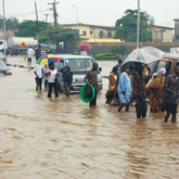 Нигерияда жойқын су тасқынынан 500-ге жуық адам қаза тапты