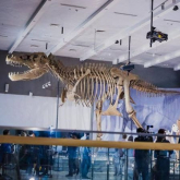 ҚР Ұлттық музейінде палеонтология залы мен қолөнершілер орталығы ашылды