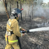 Наурызым қорығындағы орман өрті сөндірілді