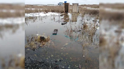 «Біз бәрін білеміз, бірақ ақша жоқ»: Ақмола облысының әкімдігі тұрғындарға көмек көрсете алмай отыр