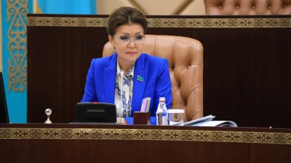 Жастар кеңесі бос әңгіме айтылатын алаңға айналмауы тиіс – Дариға Назарбаева