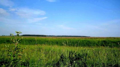 Елімізде пайдаланылмаған жерлерге салынатын салық 20 есеге артады