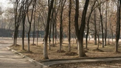 Алматыда итін серуендетуге кетіп, қайтып оралмаған жасөспірімнің денесі табылды