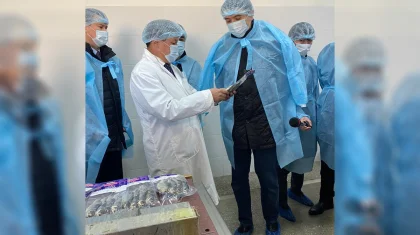 Экология министрі шаруашылықтарды балық аулауға емес, балық өңдеуге шақырады