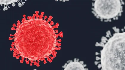 Әлемде коронавирус жұқтырғандар саны жарты миллионға жуықтады