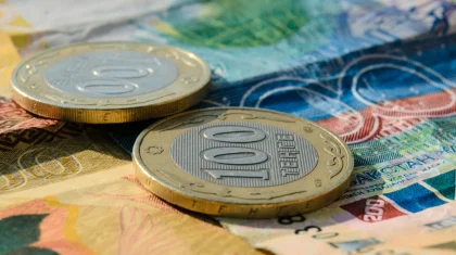 Кірісінен айрылған азаматтарға әлеуметтік көмек төлемдерін беру жеңілдеді
