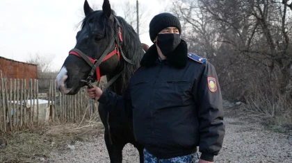 Петропавл саяжайларын салт атты сақшылар күзетіп жүр