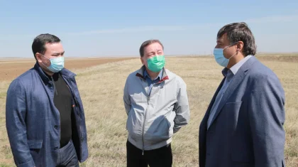 Биыл Қарағанды облысында 1 млн гектар аумаққа егіс егіледі