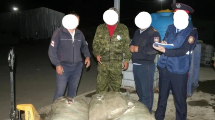 Қызылорда облысында ірі көлемде заңсыз балық аулаған тұрғын ұсталды