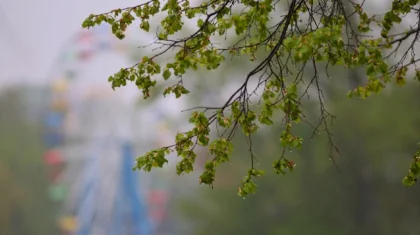12  мамырға арналған ауа райы болжамы