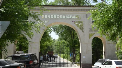 Шымкенттегі дендросаябақта 6500 шақырым веложол салынады