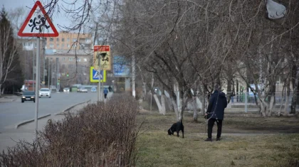 Итін өлтірген Петропавл тұрғыны жауапкершілікке тартылды
