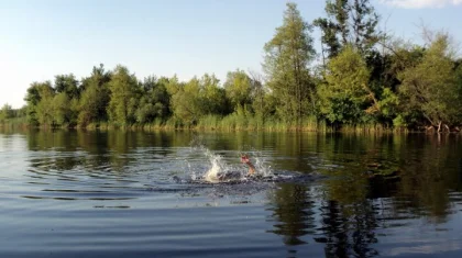 Атырауда өзенге батып кеткен жігіт іздестіріліп жатыр