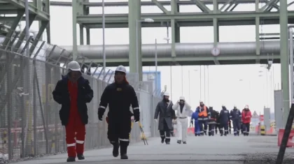 Теңізде 36 вирус ошағы бар: кеніштегі 27 мың жұмысшы үйіне қайтты
