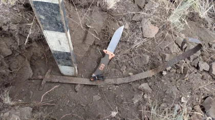 Ақмола облысында сақ дәуірінің жәдігері табылды