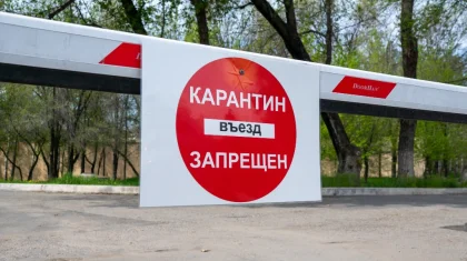 Алматы облысында карантин шаралары қайта күшейтіледі