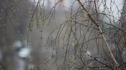 26 маусымға арналған ауа райы болжамы