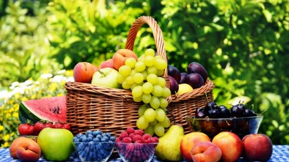 Голландиялық бағбандар Қазақстанда жеміс-жидек өсіруді қолға алды