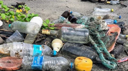 Экология министрлігі заңсыз қоқыс орындары жөнінде жедел желі жұмысын іске қосты