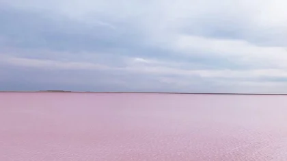 Көбейтұз 49 жылға жалға берілмейтін болды