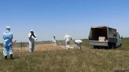 Алматыда жерлеу қызметін 1 миллион теңгеге дейін қымбаттатқандар анықталды