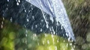 Алдағы күндері Қазақстанның басым бөлігінде жаңбыр жауады – синоптиктер