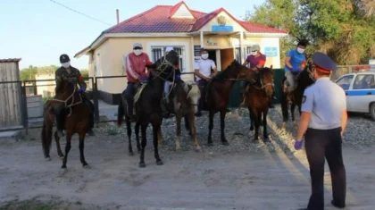 Алматы облысында қожайынының жылқысын ұрлаған малшы ұсталды