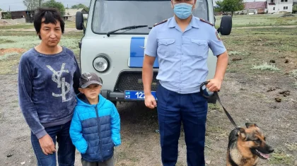 Ақмолада із-түзсіз жоғалған баланы иісшіл ит тауып берді