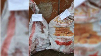 Жамбыл облысында қарақұйрық атқан 2 азамат ұсталды