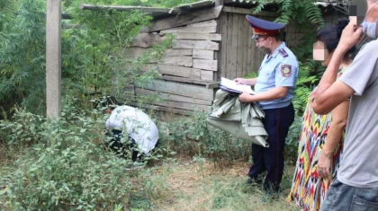 Түркістан облысында үйінде қарасора өсіріп, марихуана сатқан тұрғын ұсталды