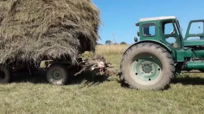 Ақмола облысында екі бірдей бала трактордың астына түсіп кетті