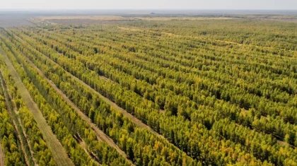 Алдағы демалыс күндері ауа райы жылы болады