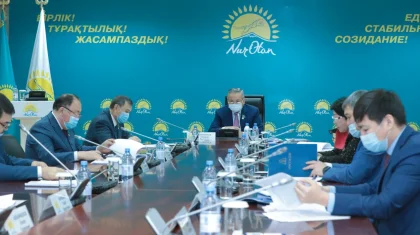 Nur Otan бірнеше шенеунікті партиялық жауапқа тартуды талап етті