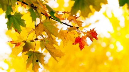 27 қыркүйек күнгі ауа райы болжамы