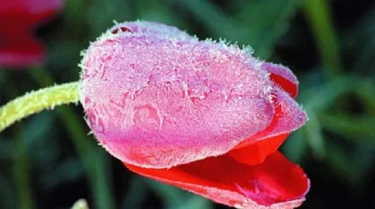 Қазақстанның бес облысында ауа райына байланысты ескерту жарияланды