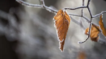 Қазақстанның бірнеше өңірінде күн суытады