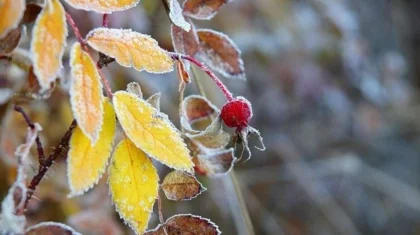 10 қазанға арналған ауа райы болжамы