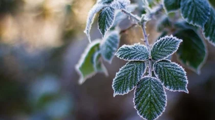 12 қазан күнгі ауа райы болжамы