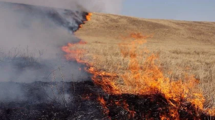 Төтенше жағдайлар министрі Атыраудағы қамыс өртіне қатысты жауап берді