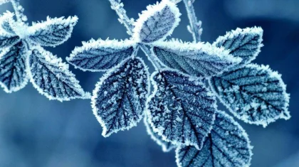 13 қазан күнгі ауа райы болжамы