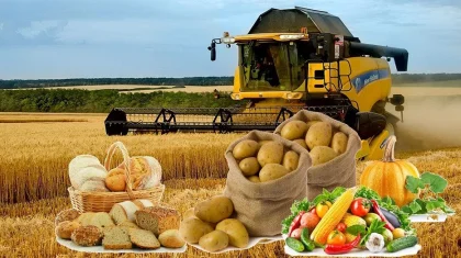Еліміздегі ауыл шаруашылығы өндірісінің көлемі 4,4 трлн-ға жетті – ҚР АШМ